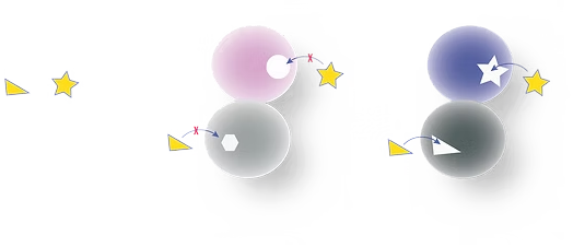 Revolutionising the Fight